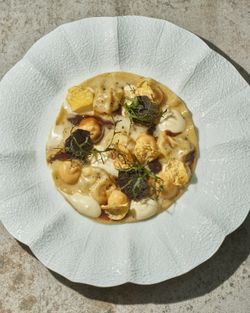 French dish of ravioli with assorted sauces, truffle slices, and greens on a textured white plate at Daniel.