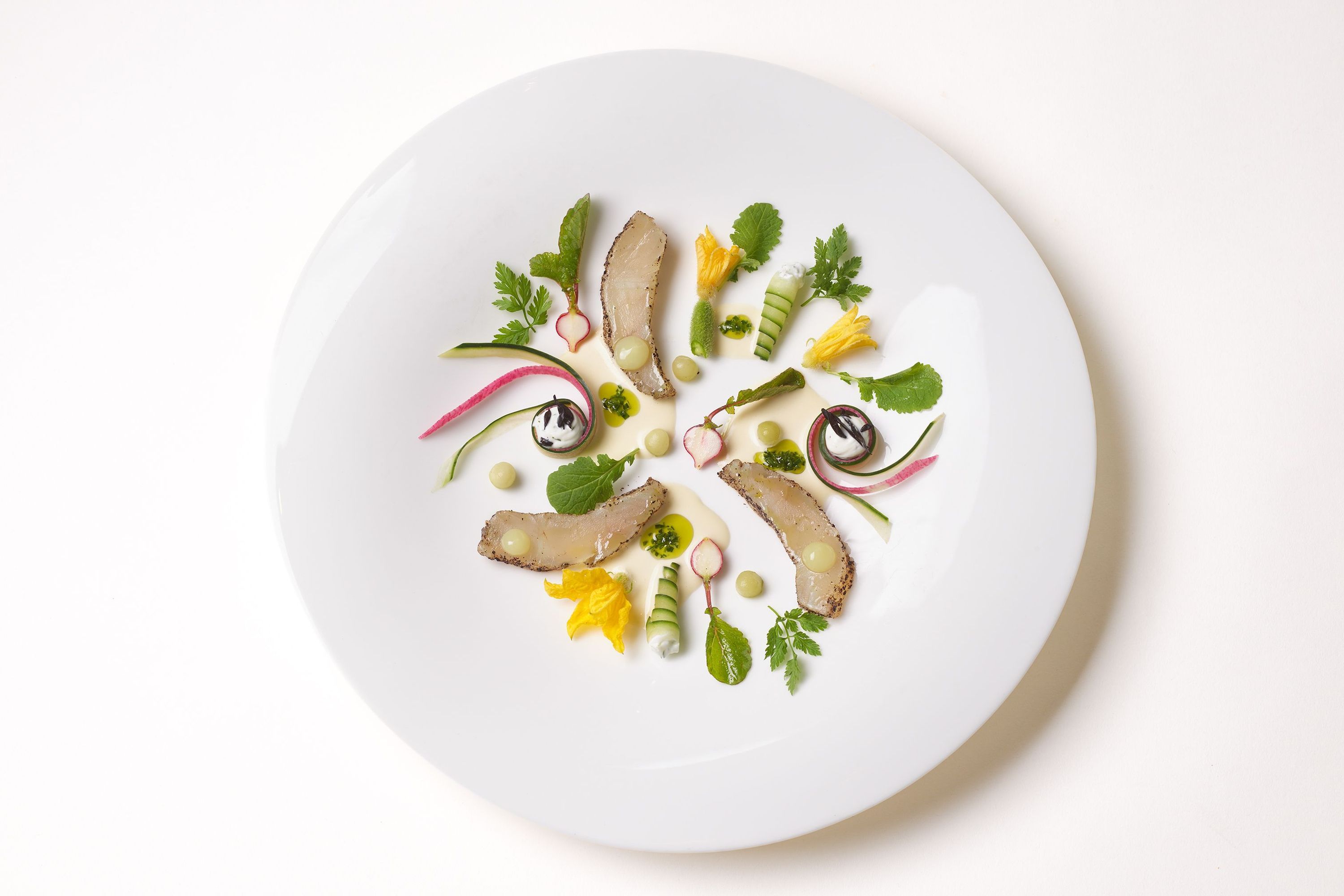 Fine dining presentation of a tasting menu with artfully arranged vegetables, greens, and seafood on a white plate.